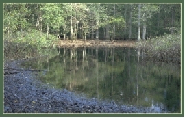 Grafton Ponds Grafton Pond.svg