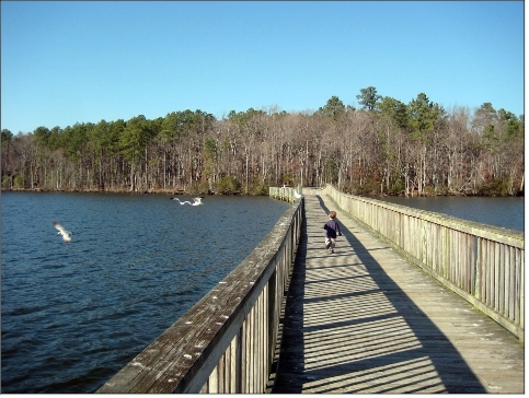 Newport News Park was
developed on reservoir property in the 1960s. History Growth 2.svg